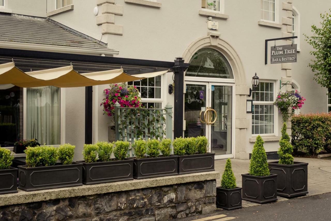 Woodford Dolmen Hotel Карлоу Екстериор снимка